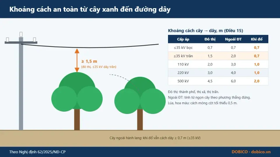 Safety clearance from trees to a power line
